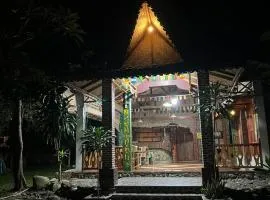 Pongo Guest House