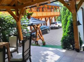 Pensiunea Malinul，位于Bîrsana的酒店