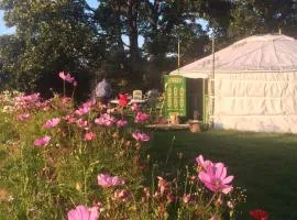Crazy Pheasant - North Wales - Luxury Mongolian Yurt and Hot Yub - Seclusion and Privacy - Digital Detox