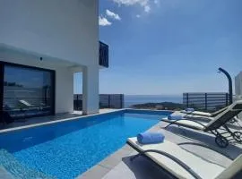 Luxury Villa Andro