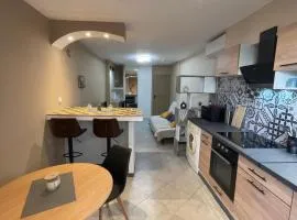 M&S STUDIO NEUF CLIMATISÉ CENTRE Historique