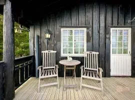 Cozy spacious cabin with sauna at Natrudstilen