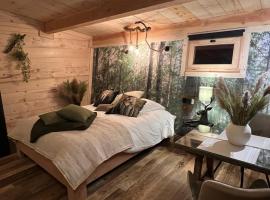 Les Écrins du Val de Mouthe, JURA，位于Petite Chaux的酒店