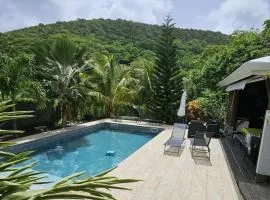 Magnifique maison en bois avec piscine