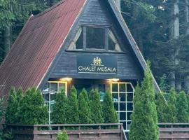 Chalet Musala Borovets by BookVillaBG，位于波罗维茨的乡村别墅