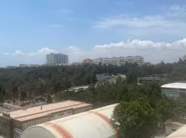 Квартира