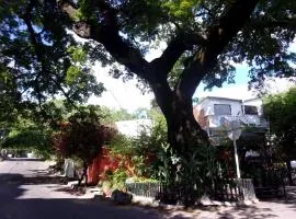 EcoCasa Central CantaRana, Neiva Huila Central Colombia