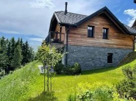 Tomtegl-Bergchalet-No-5-mit-Privatsauna-Infinitypool-Kamin-Fitnessraum-1500m-Seehoehe