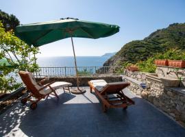 Loft Il Castello con terrazza sul mare，位于里奥马哲雷的酒店