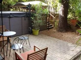 Bel appartement avec spa de nage