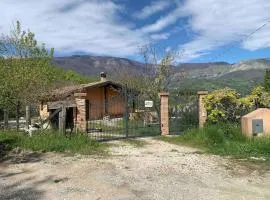Casa vacanze Oro viola
