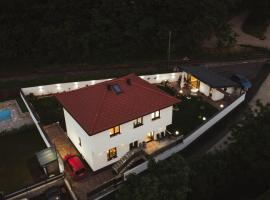 Villa Ali，位于Illidža的酒店