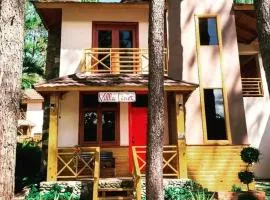 Villa Linet