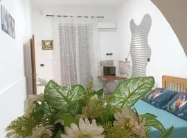 Piccola Azzurra home