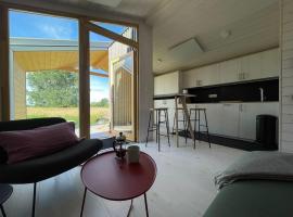 203 Modernes Tiny House an der Elbe mit Blick ins Grüne，位于布莱克德的酒店