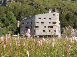 Longhin Maloja B&B，位于马洛亚的酒店