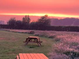 Erve Zonnehoeve Minicamping en Wijngaard，位于福尔登的酒店