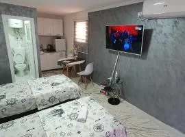 Cozzy apartment near the Aiport Podgorica