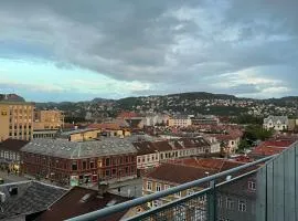 Penthouse in Trondheim City Centre