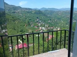 Çatalkaya Bungolov