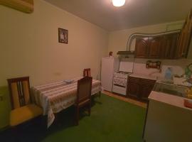 Apartman Popovic，位于Sremska Kamenica的酒店