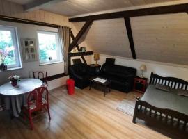 Apartament Jeleń w smokingu，位于Sułów的酒店