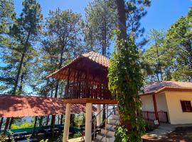 Cabañas y Mirador El Pericón，位于Arambala的酒店