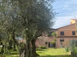 La casa dei NONNI