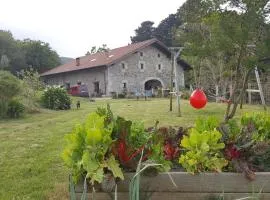 Apartamentos Iparagirre