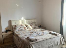 Villa Zefi Rrenc，位于斯库台的宠物友好酒店