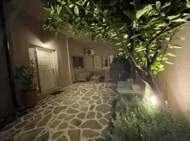 Lemon Tree Apartment