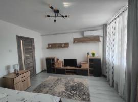 White House，位于Turnu Măgurele的带停车场的酒店