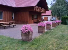 Guest house Vilciņi