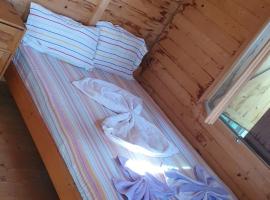 Camere Orizont，位于科斯蒂内什蒂的青旅