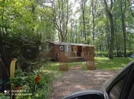 Location mobil-home, ile de France, Havre de paix au coeur d' une forêt avec piscine