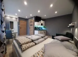 Apartamenty Pokoje Lawenda Wisła