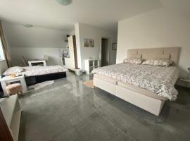 Apartma Azurre，位于波斯托伊纳的酒店