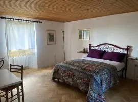 Stanza nel bosco alla Canova di Biforco