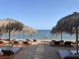 HOTEL IREON beach，位于萨摩斯的酒店