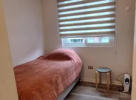 Departamento central y acogedor Puerto Varas
