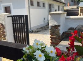 Apartman - Garden - Vendégház 2，位于Nesvady的酒店