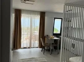 Studio Saturn Seven Palms