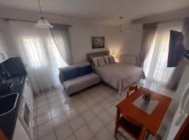 Eleni's Apartments Igoumenitsa - Γκαρσονιέρα 1ου ορόφου επιπλωμένη, εξωπλισμένη