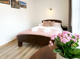 Noclegi u Masnych，位于维托韦的酒店