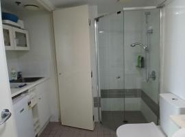 1 Bed Studio Apartment Near Eagle Street，位于布里斯班的酒店