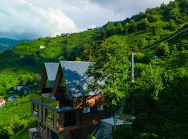 Valent Suit Bungalov，位于Ardeşen的酒店