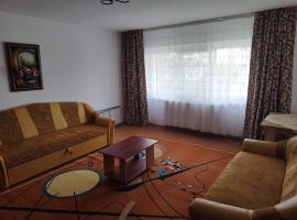 Apartament Miruna，位于Moineşti的酒店