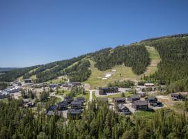 Ömsedal - Funäsdalen Kåvan，位于菲奈斯达伦的带停车场的酒店