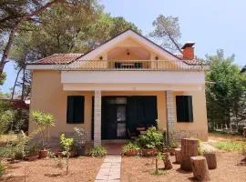 Bezhani Villa