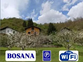 Bosana